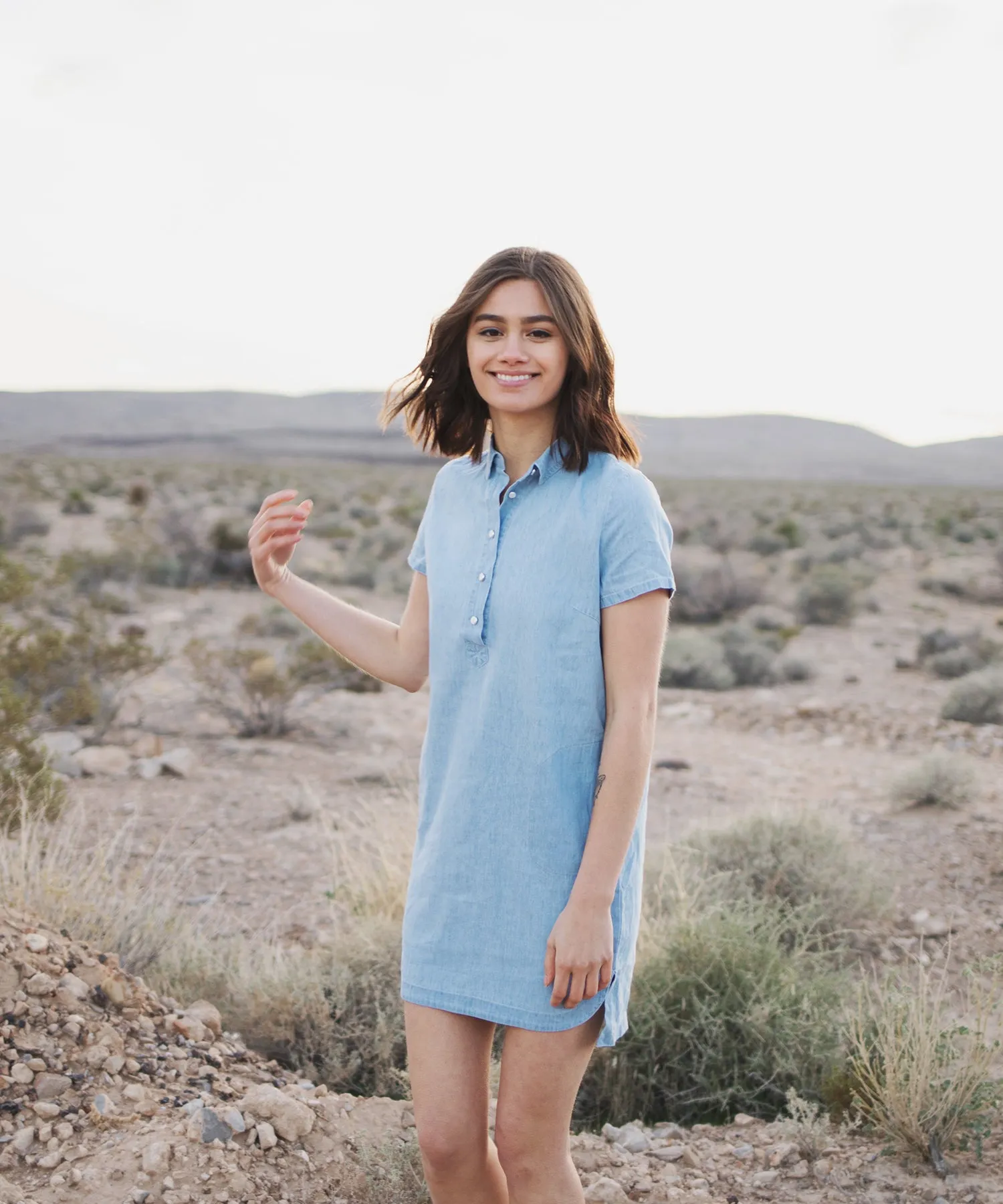 Bergen Denim Dress