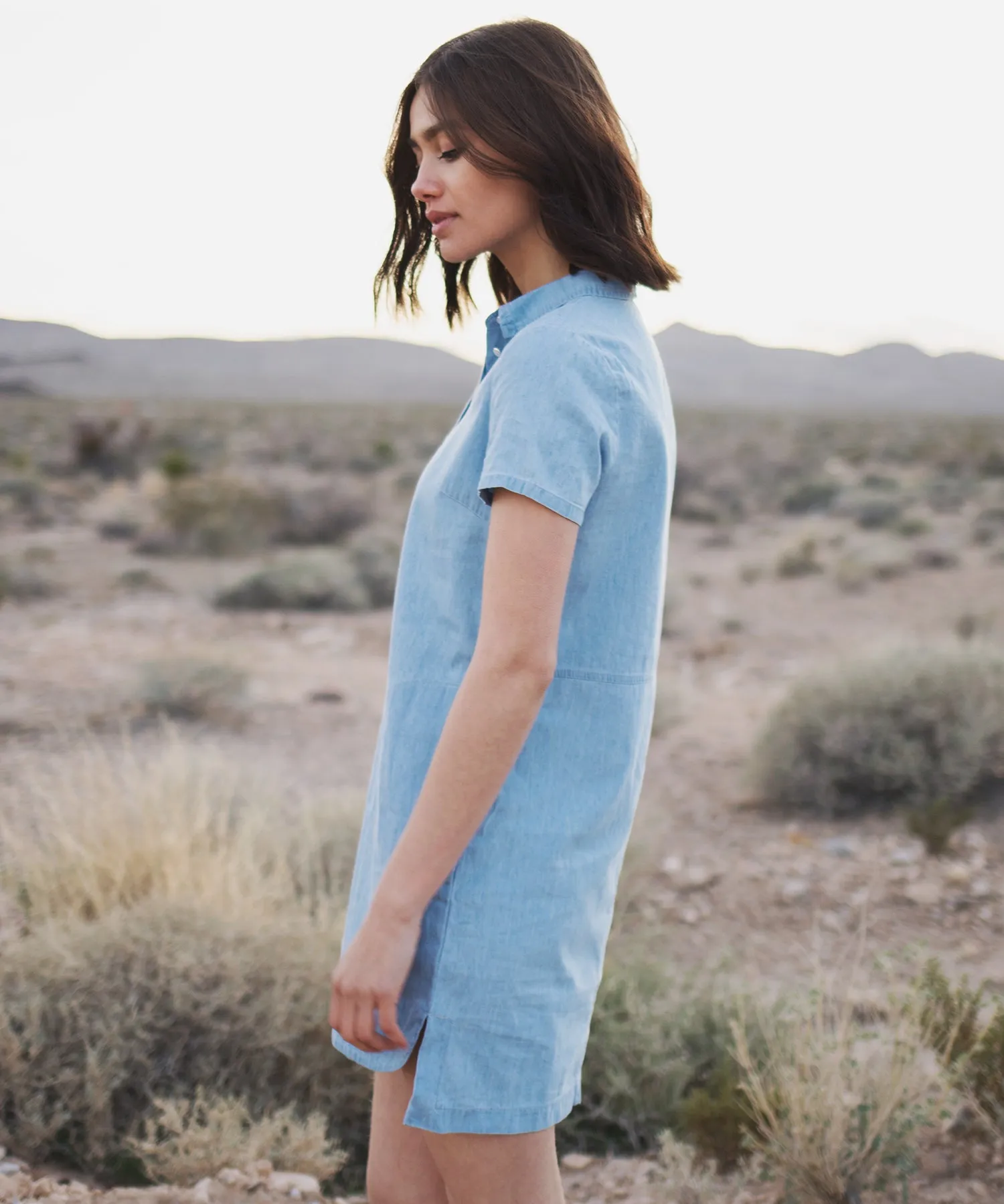 Bergen Denim Dress