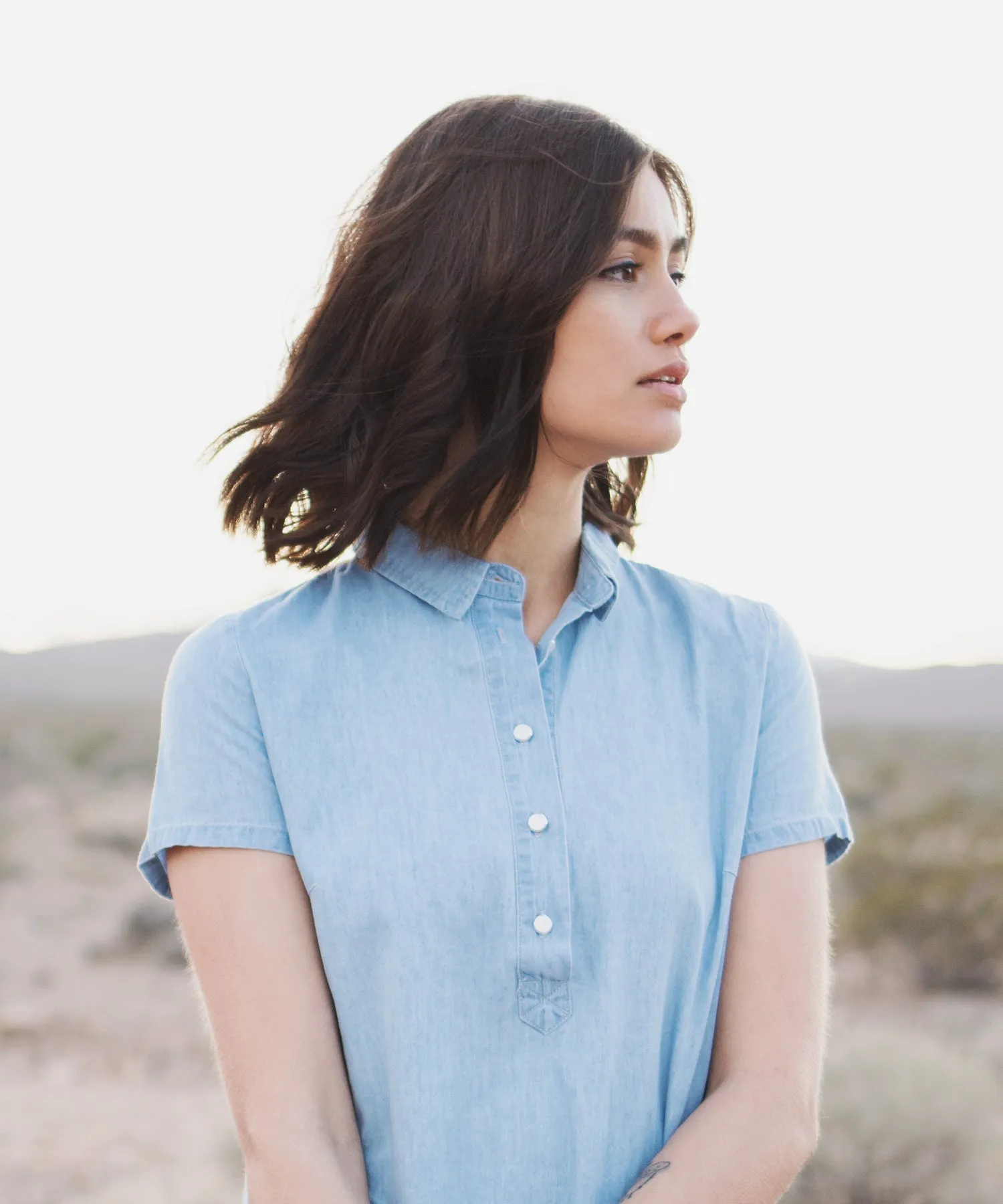 Bergen Denim Dress