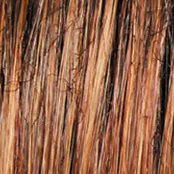 CRUSHING ON CASUAL  ELITE  - Wig by Raquel Welch