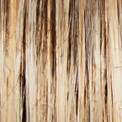 CRUSHING ON CASUAL  ELITE  - Wig by Raquel Welch