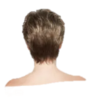 CRUSHING ON CASUAL  ELITE  - Wig by Raquel Welch
