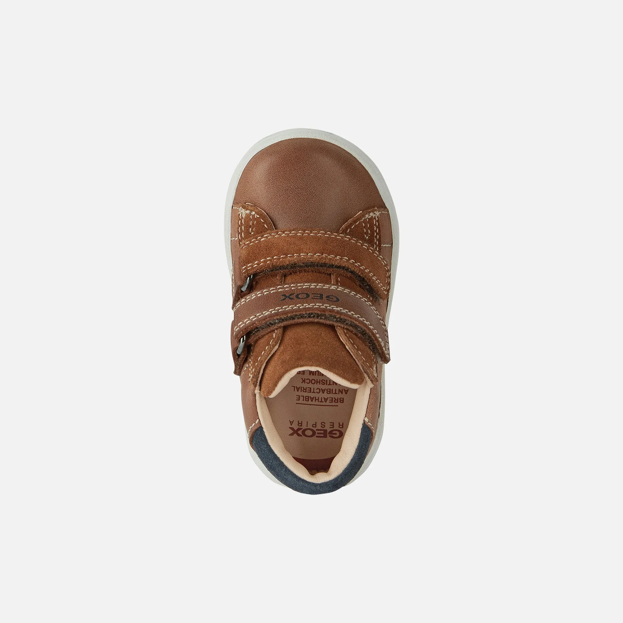 Geox - Biglia - Brandy/Navy