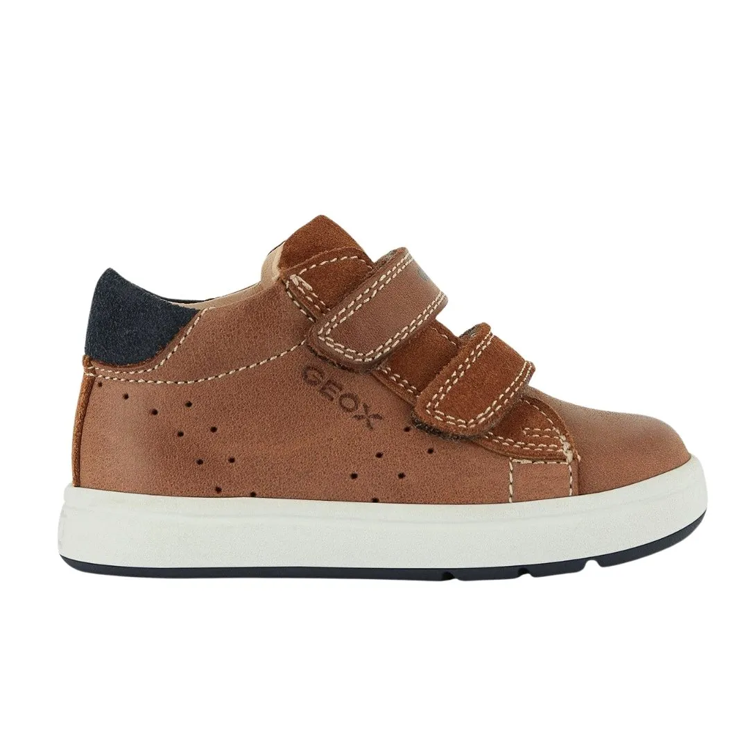 Geox - Biglia - Brandy/Navy