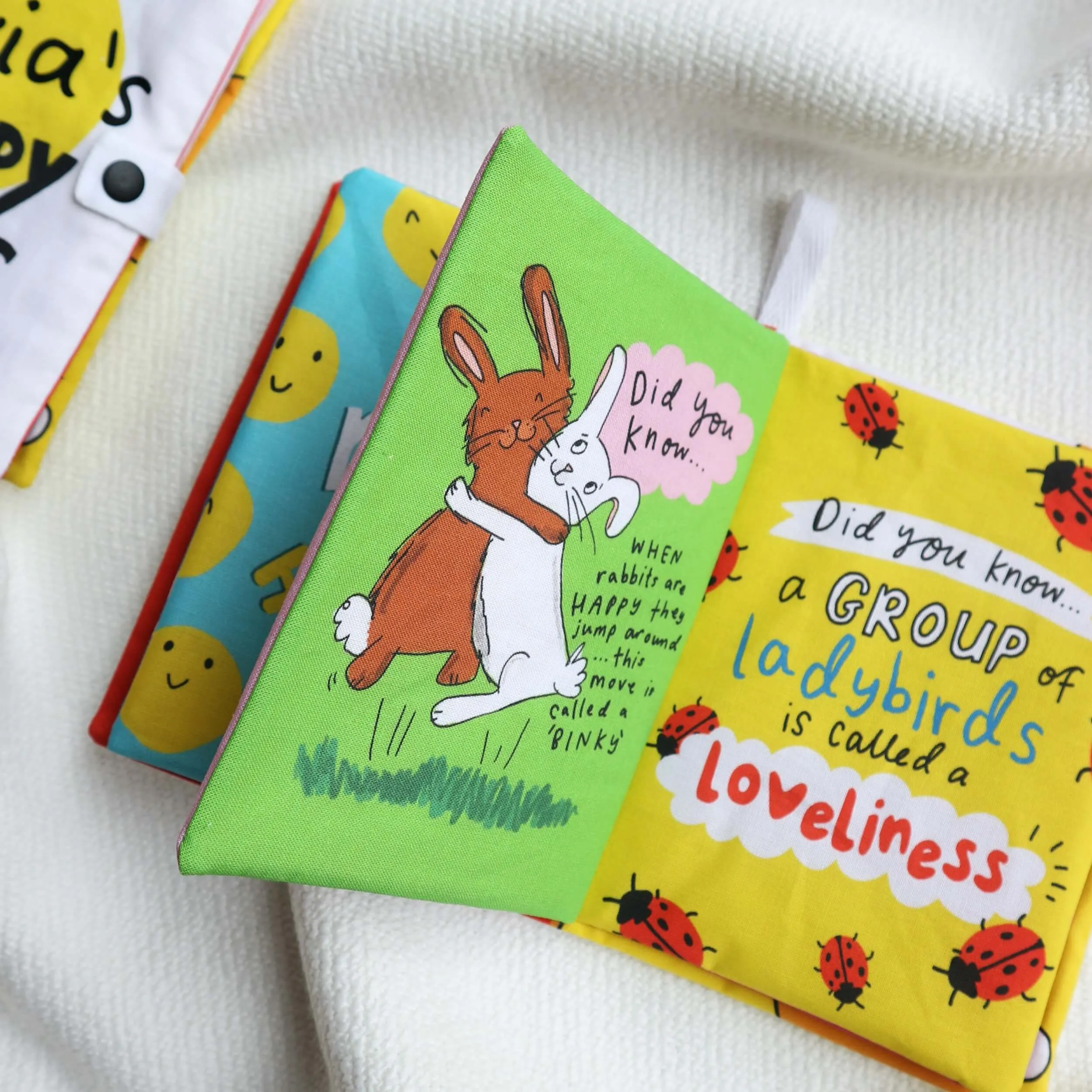 *Limited Edition* Personalised 'The Happy News' soft crinkle baby book