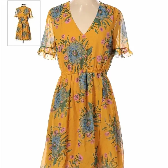Madewell Sweetgrass Ruffle-Sleeve Dress in Painted Blooms Floral Print Size 4