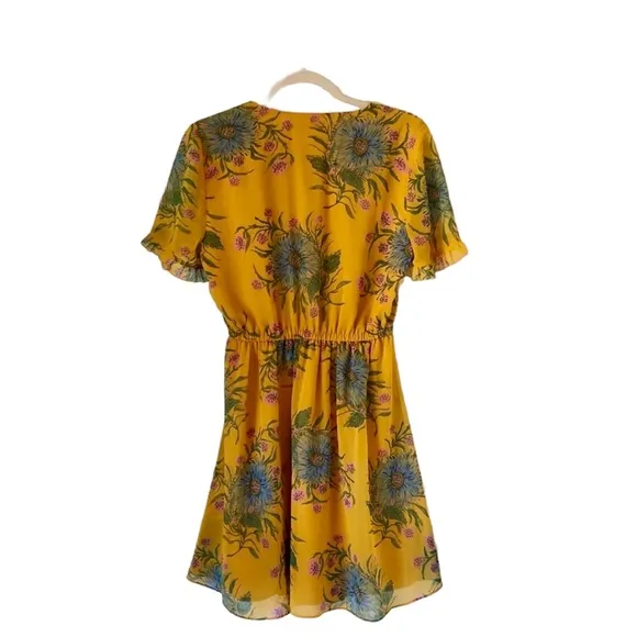 Madewell Sweetgrass Ruffle-Sleeve Dress in Painted Blooms Floral Print Size 4