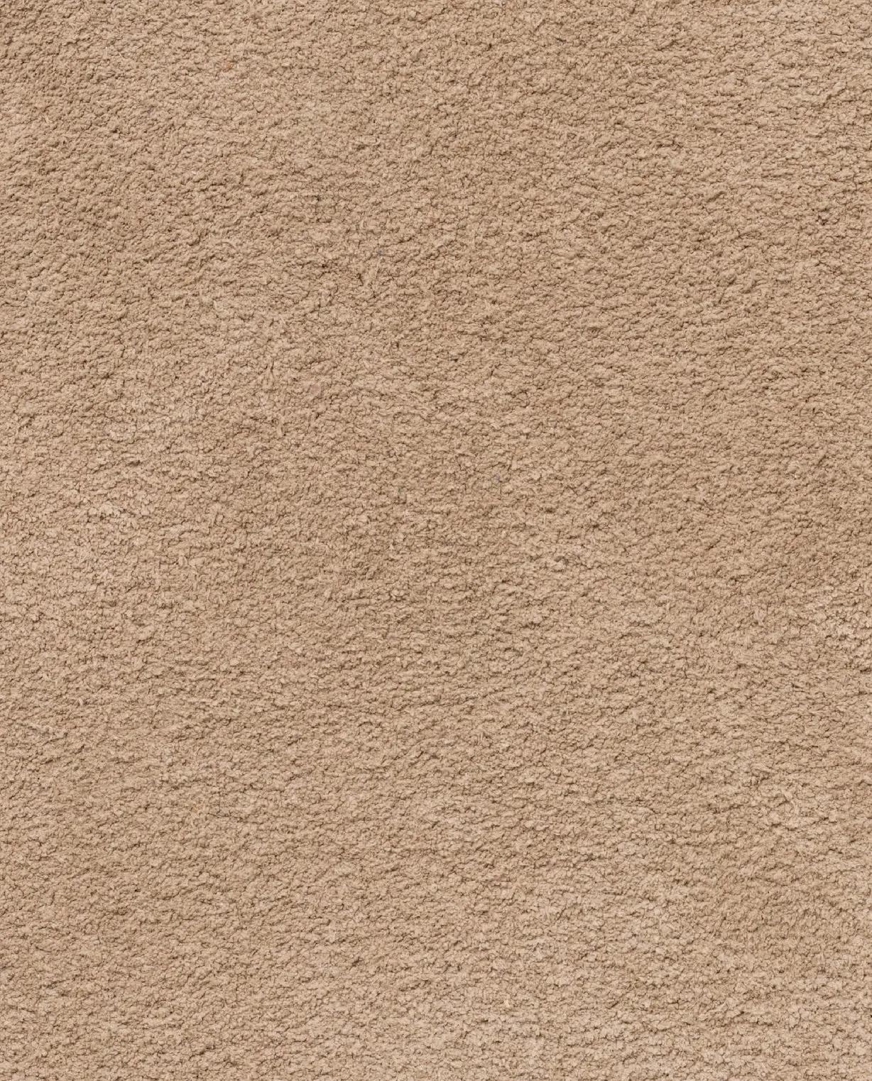 Sand Suede Low-Top Sneakers