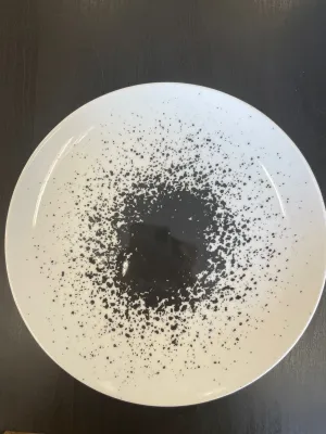 Set of 4 white dinner plate with black Design #13