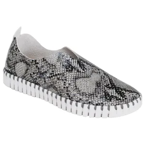 Tulip - Black Grey Snake
