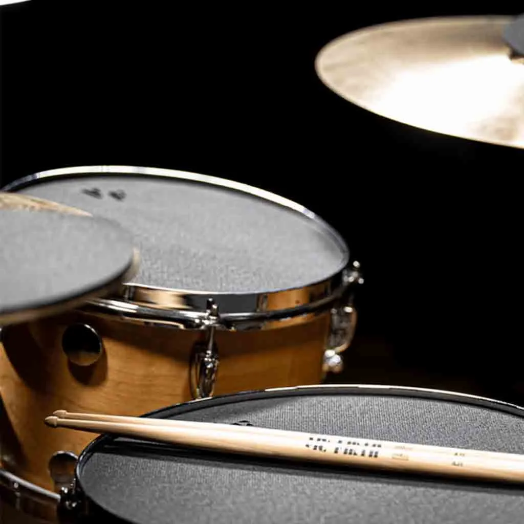 Vic Firth 12" Drum Mute