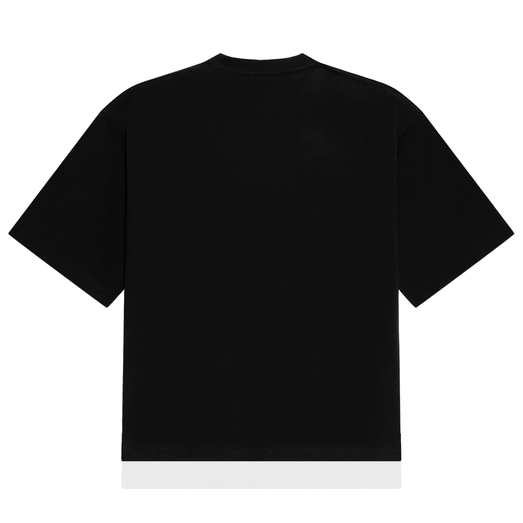 Vicinity Castle T-Shirt